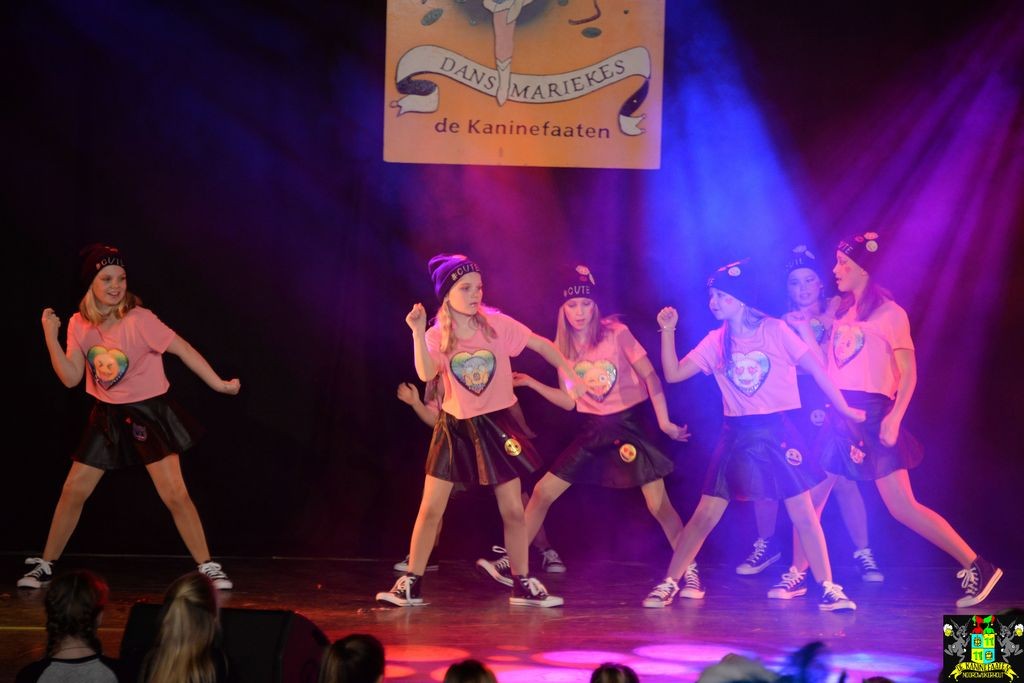 ../Images/Dansmarieke festival 2018 378.jpg